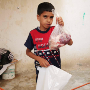 UTS - United Transport Services