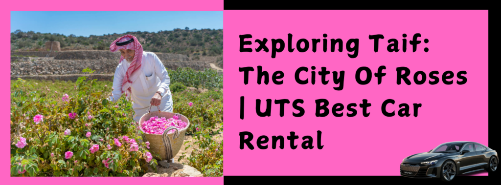 Exploring Taif